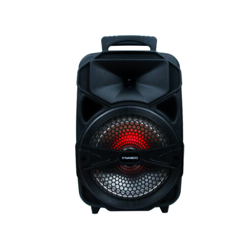 Nasco 20Watt Audio Karaoke