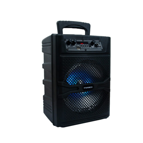 Nasco 30Watt Audio Karaoke