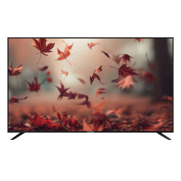 Nasco 65″ UHD Smart Flat Tv
