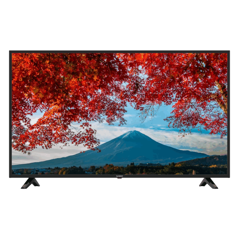 Nasco 40″ Led Digital Satellite Television