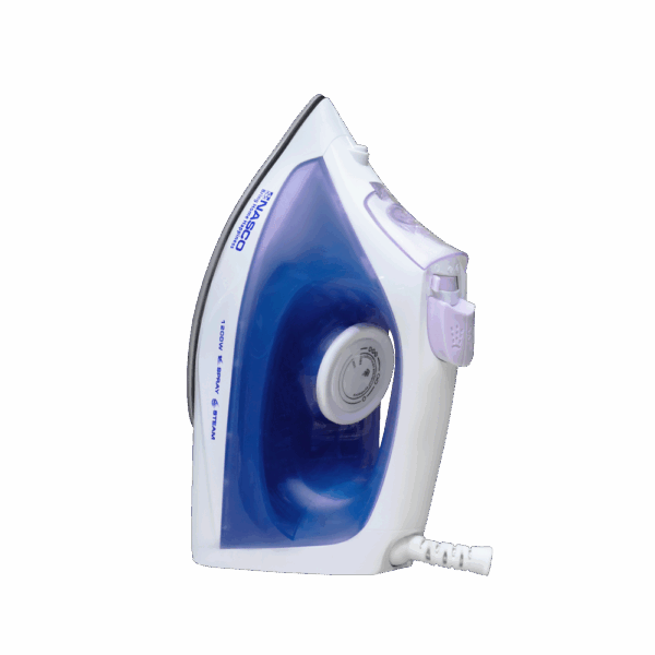 Nasco Steam Iron