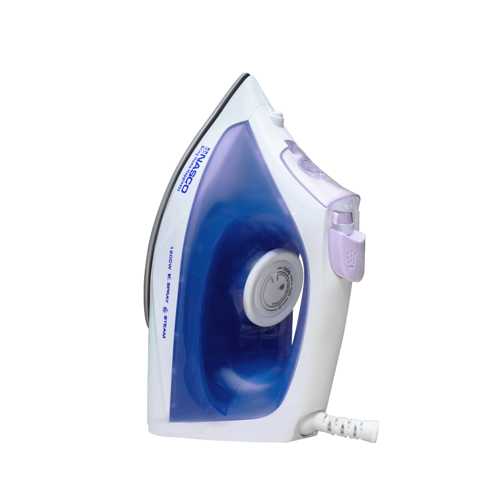 Nasco Steam Iron