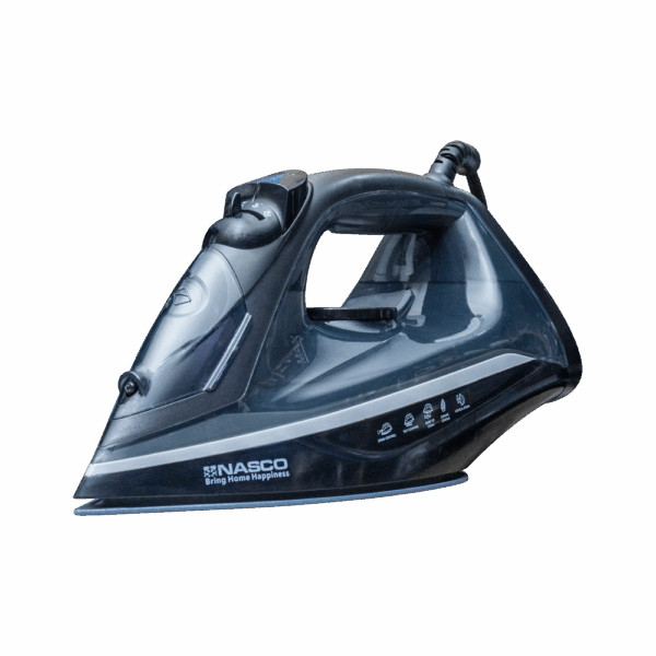 Nasco Steam Iron