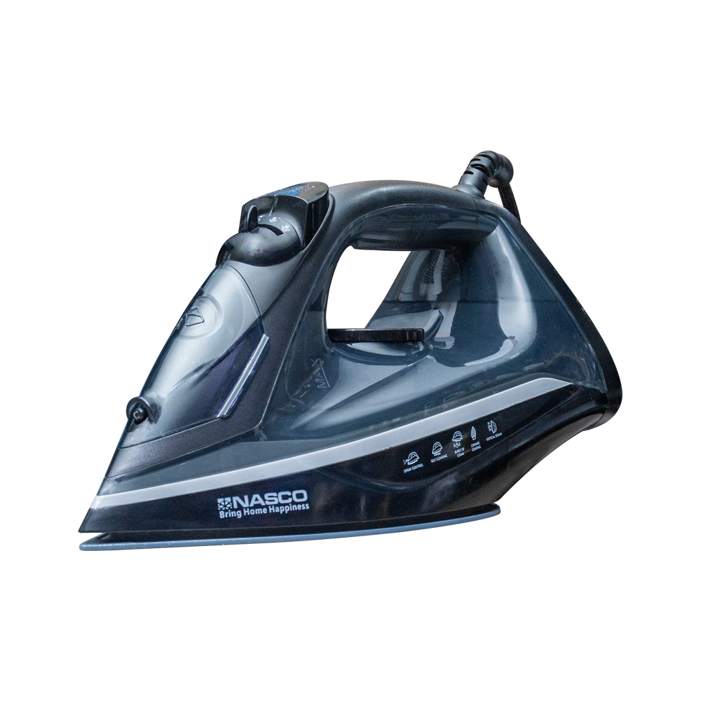 Nasco Steam Iron