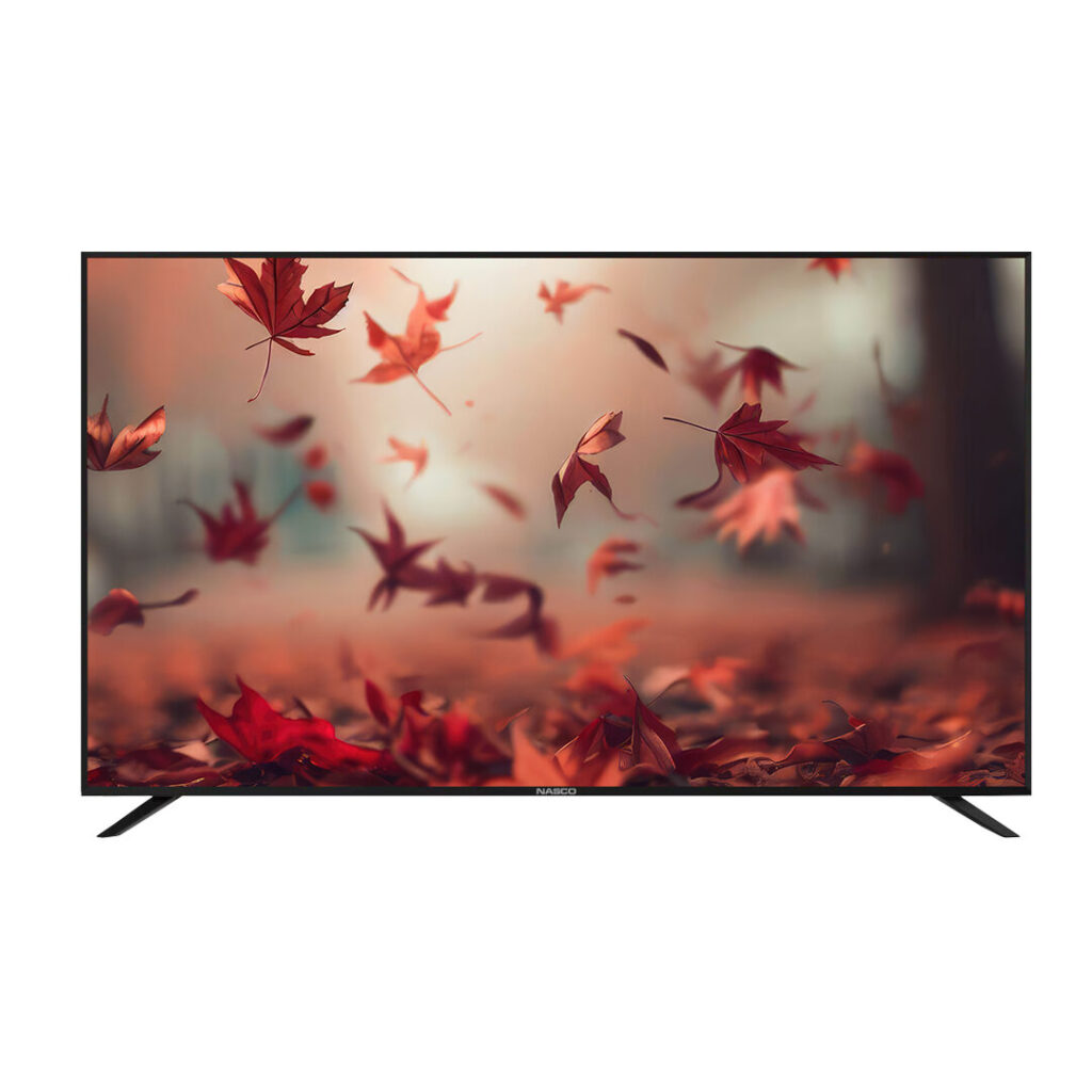 Nasco 32 LED Digital Satellite Tv